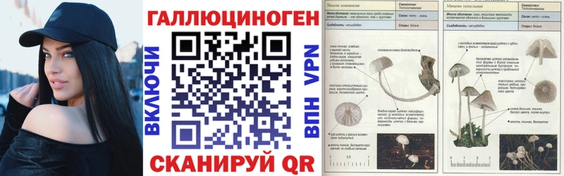 Галлюциногенные грибы Cubensis Гудермес